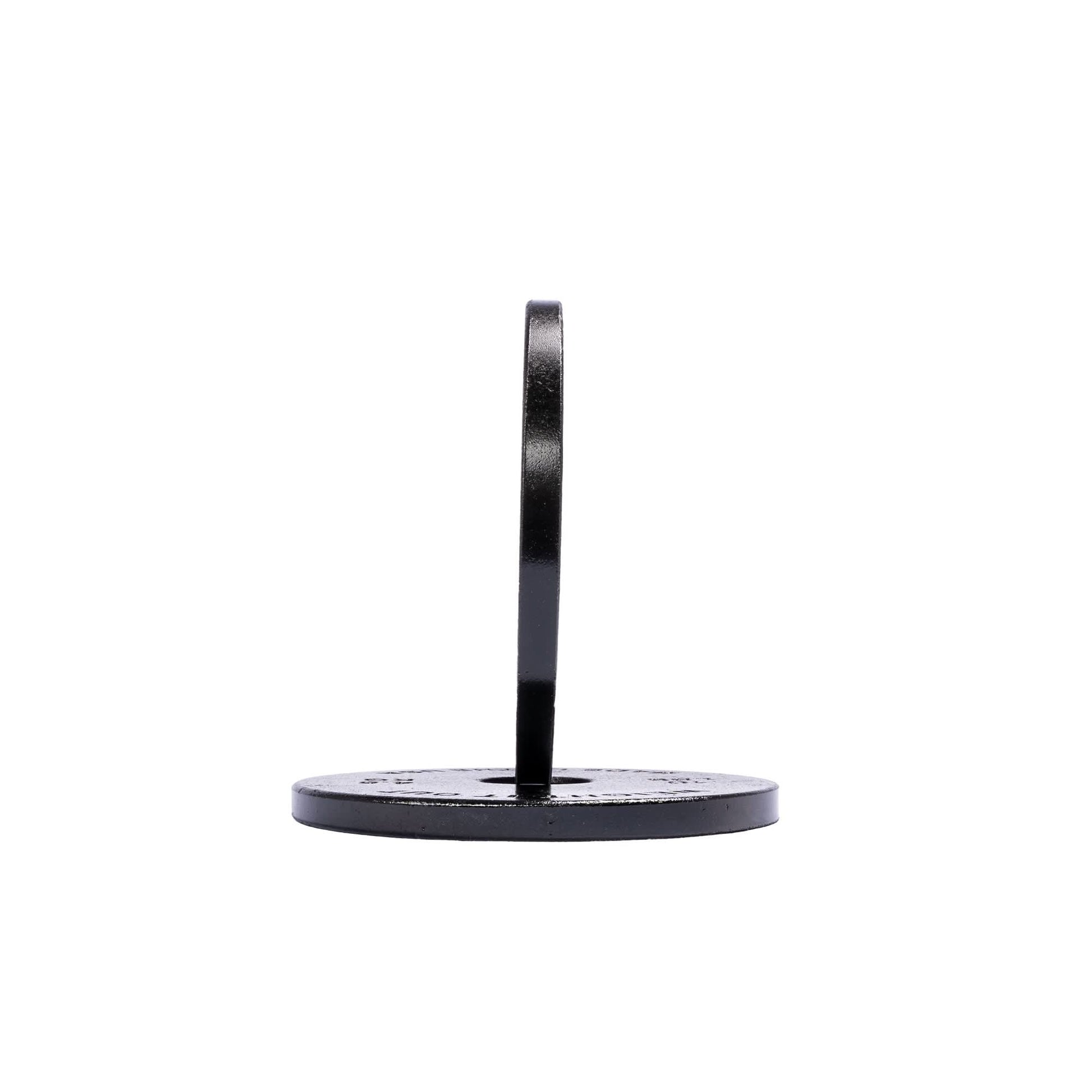 Cast Iron Machined Weight Plate Pairs - side view 5 lbs (black finish)