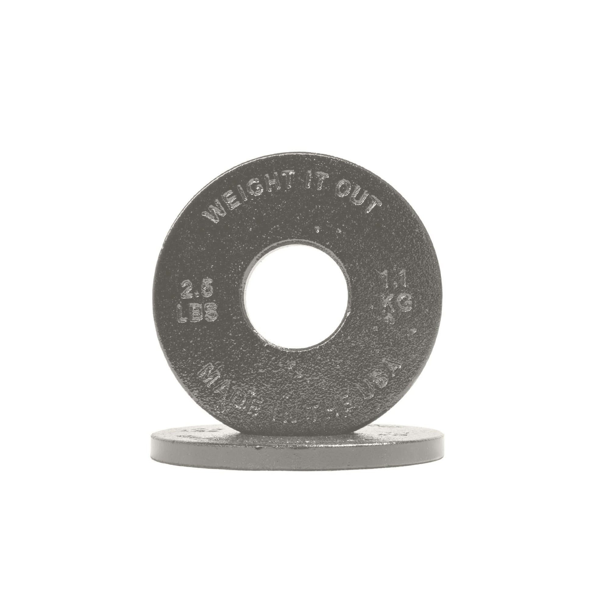 Cast Iron Machined Weight Plate Pairs - front view of 1.1 kg (clear finish)