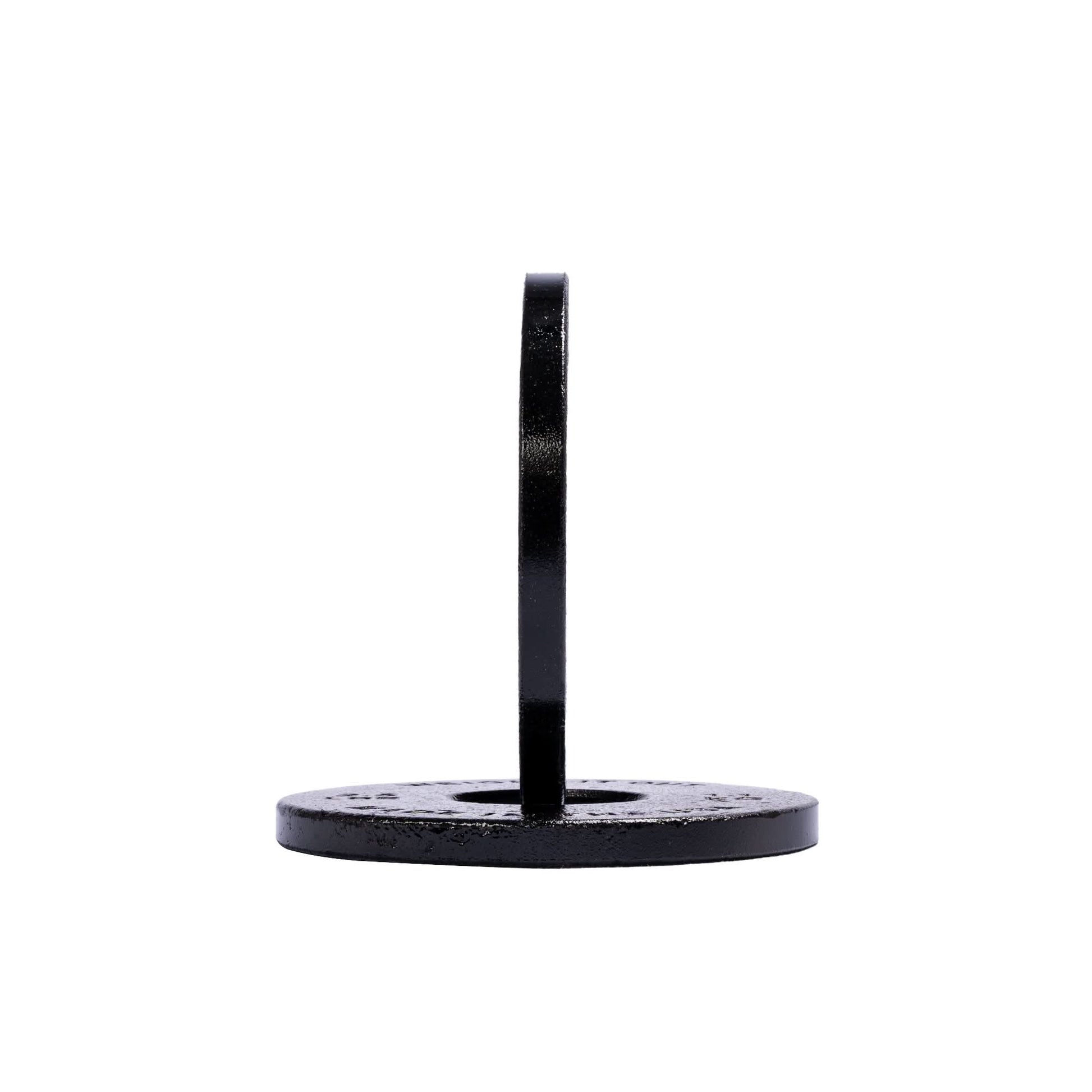 Cast Iron Machined Weight Plate Pairs - side view 10 lbs (black finish)