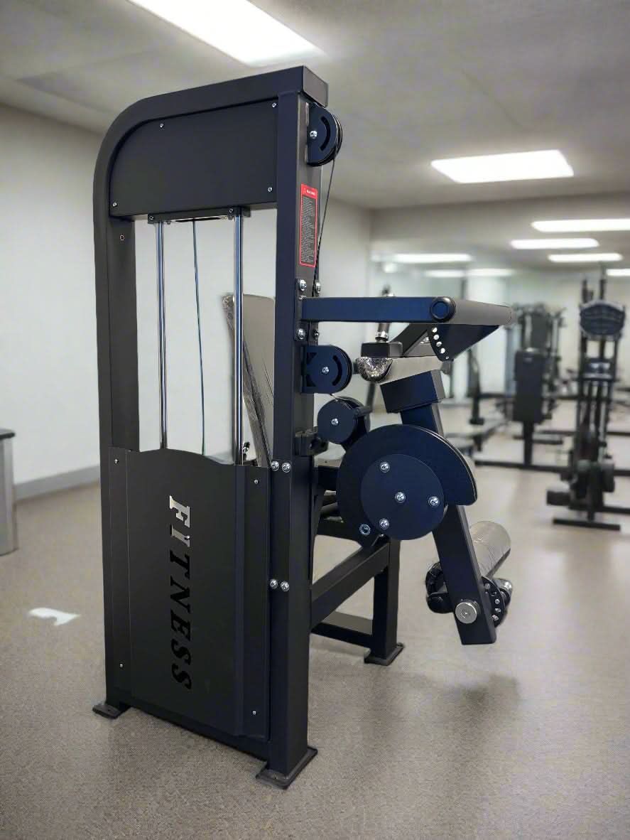 SFE Seated Selectorized Leg Extension & Leg Curl Machine - back view