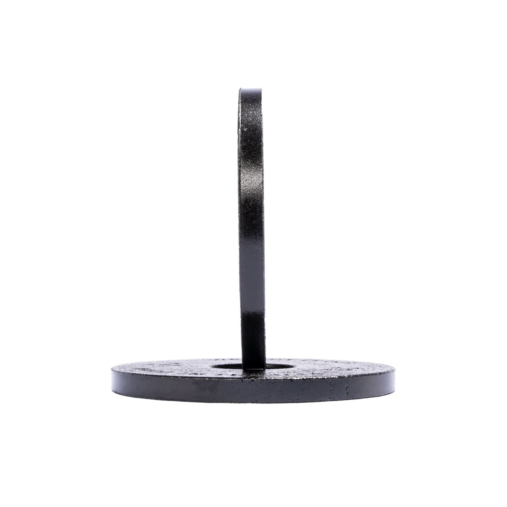 Cast Iron Machined Weight Plate Pairs - side view 2.5 lbs (black finish)