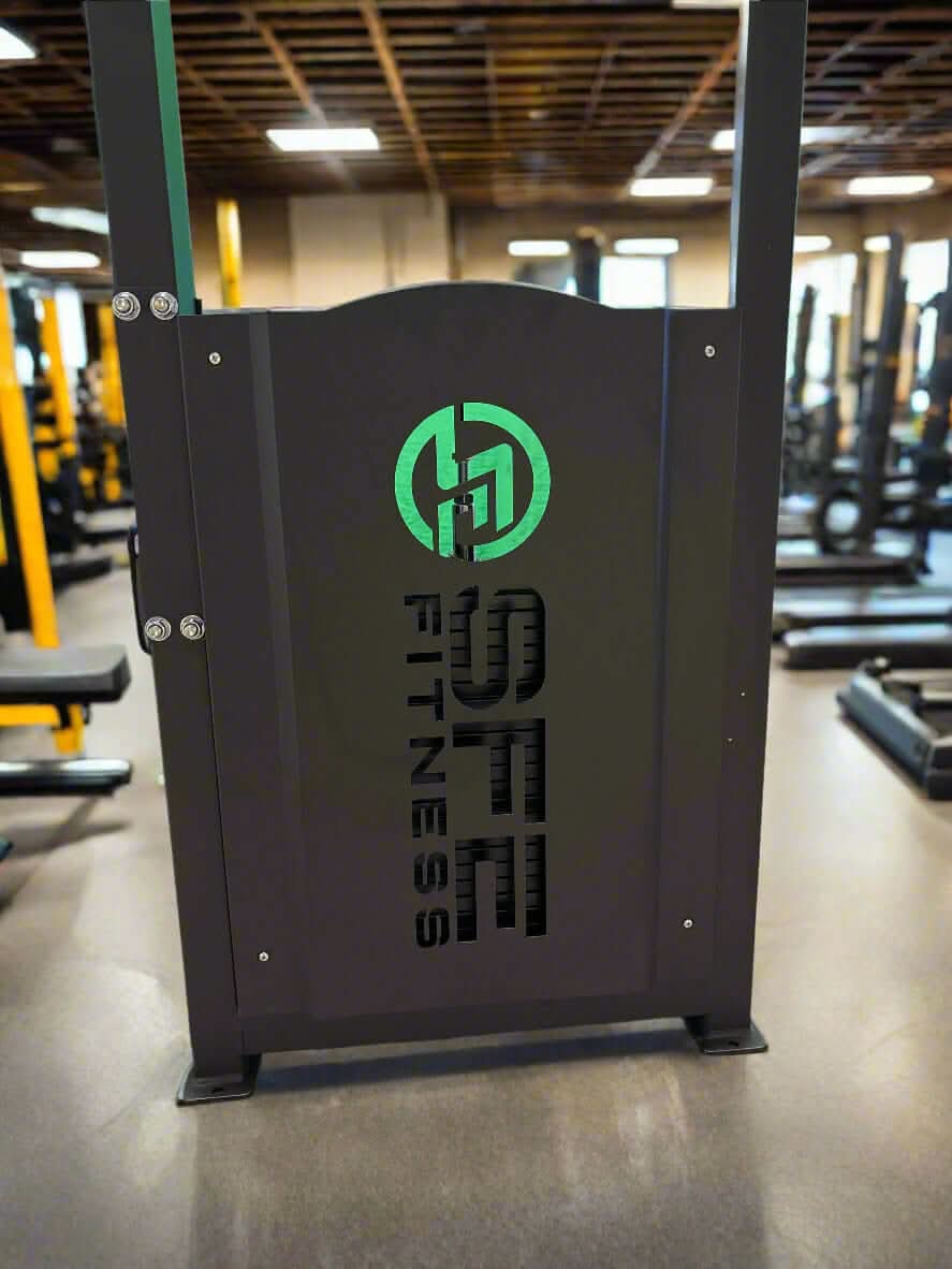 SFE Commercial Back & Abdominal Combo Machine - back view of machine with logo