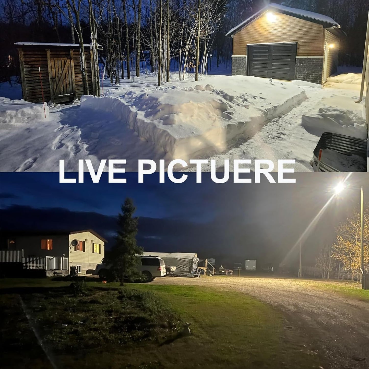 LED Barn Light, 100W, 5000K, 12,000 Lumens, 100-277 VAC, Built-in Photocell, Wall & Pole Mount