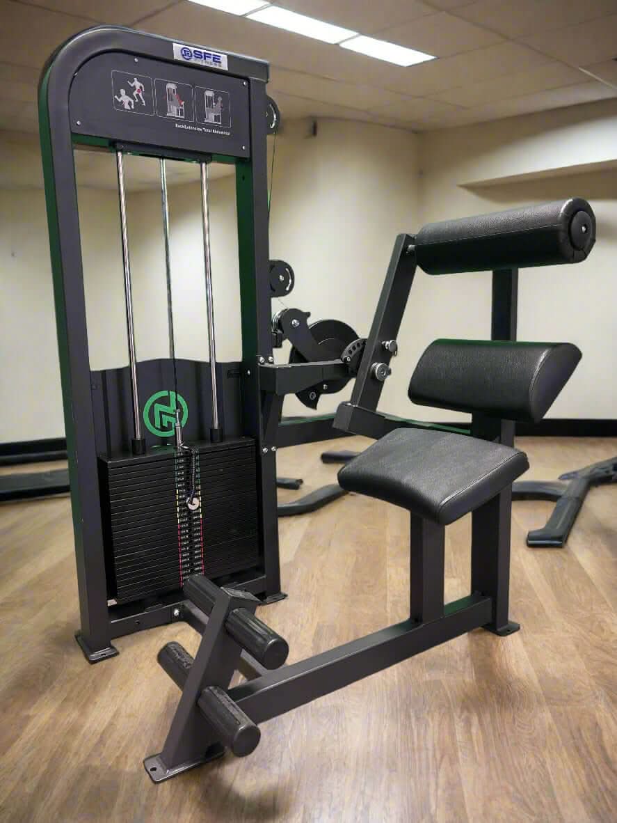 SFE Commercial Back & Abdominal Combo Machine - perspective view