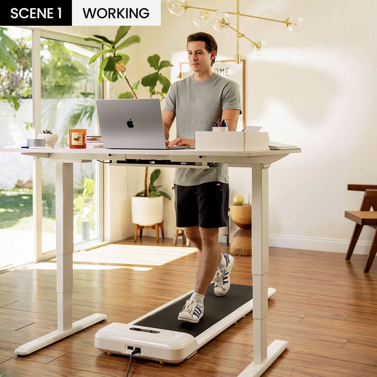 WalkingPad C2 Foldable Walking Treadmill