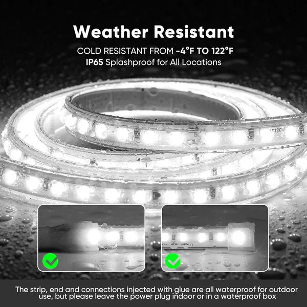 110V COB LED Strip Light with Adhesive Backing, Cool White 6000K