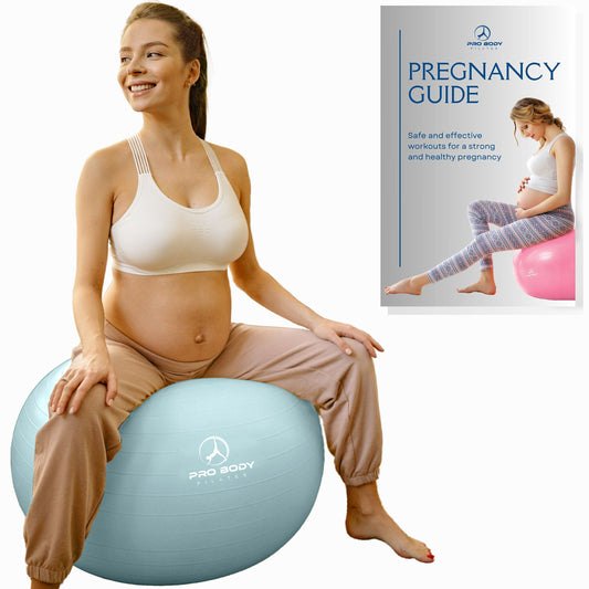 Pregnancy Ball for Maternity, Labor and Birth.  Includes Pregnancy Guide.  (Mist)