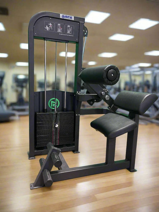 SFE Commercial Back & Abdominal Combo Machine - side view