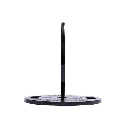 Cast Iron Machined Weight Plate Pairs - side view 25 lbs (black finish)