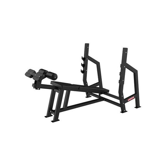 SFE Commercial Decline Bench Press - perspective view