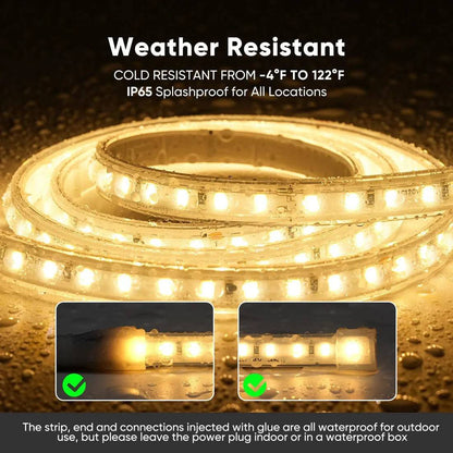 110V COB LED Strip Light with Adhesive Tape, 2800K Warm White