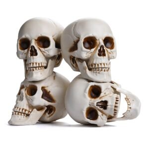 Yescom Halloween Skulls Life Size Skeleton Head 4ct/pk
