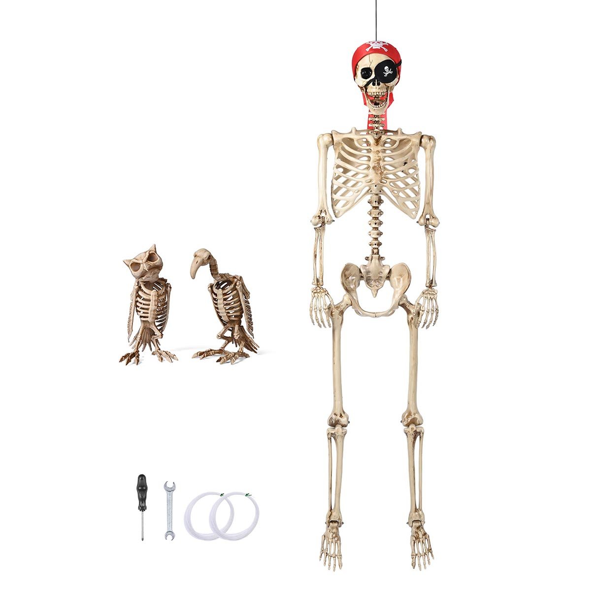 Yescom 5.6Ft Halloween Skeleton Set - Pirate with Vulture & Owl