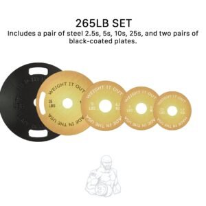 Cast Iron Machined 45lb And Calibrated Solid Steel Weight Plate Sets