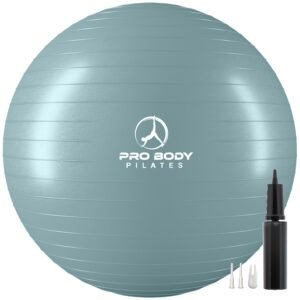Yoga Ball for Pregnancy, Fitness, Balance, Workout at Home, Office and Physical Therapy (Mist)