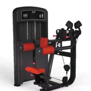 Elite Selectorized Side Lateral Raise - Muscle D Fitness - Commercial - Adjustable Seated - Pin Selectorized - Padded Shoulder Workout
