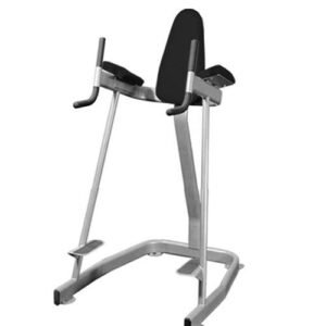 Vertical Knee Raise - Elite Series - Muscle D Fitness - Sturdy Vertical Knee Raise