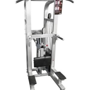 Dual Function Assisted Chin-Dip Combo - Muscle D Fitness - Adjustable - Plate Selectorized