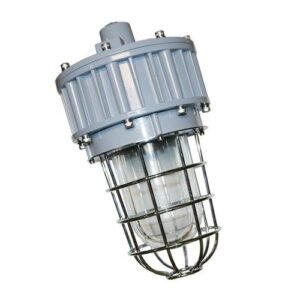 20W Explosion Proof Jelly Jar Light, G Series, 5000K, 2700 Lumens, 100-277 VAC