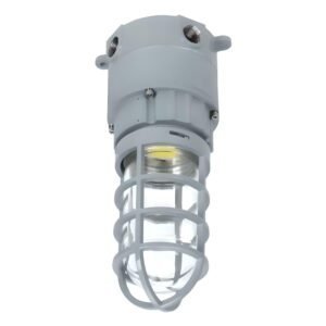 LED Explosion Proof Jelly Jar Light, O Series, 20W, 5000K, 2800 Lumens, 100-277 VAC