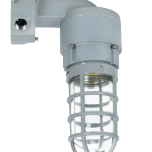 LED Explosion Proof Jelly Jar Light (Wall Mount), O Series, 20W, 5000K, 2800 Lumens, 100-277 VAC